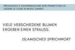 ANCHE TU